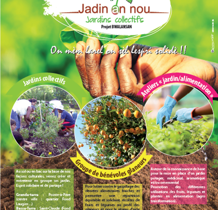 Vous voulez apprendre à jardiner, consommer vos propres fruits et légumes ?